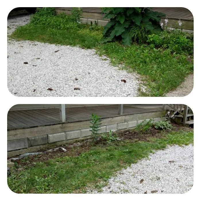 Yard Servants Picture 10