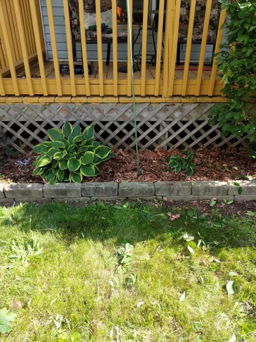 Yard Servants Picture 7
