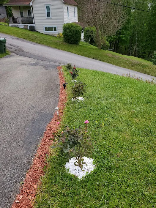 Mark's Landscaping & Design Picture 4