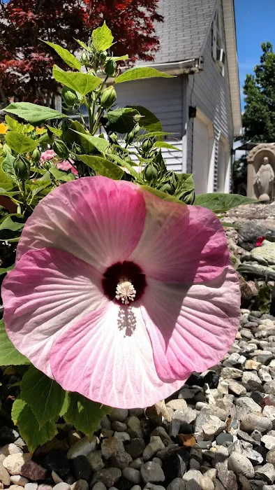 Cossell's Creative Landscaping,Inc Picture 5