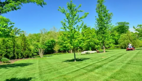 Expert Lawn & Landscape LLC Picture 7