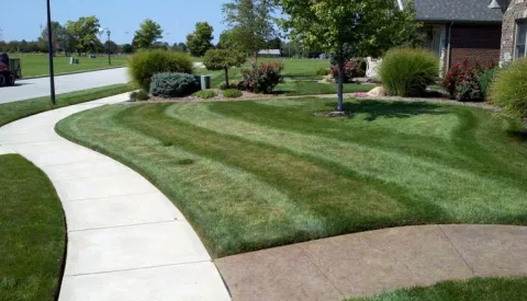 Expert Lawn & Landscape LLC Picture 8
