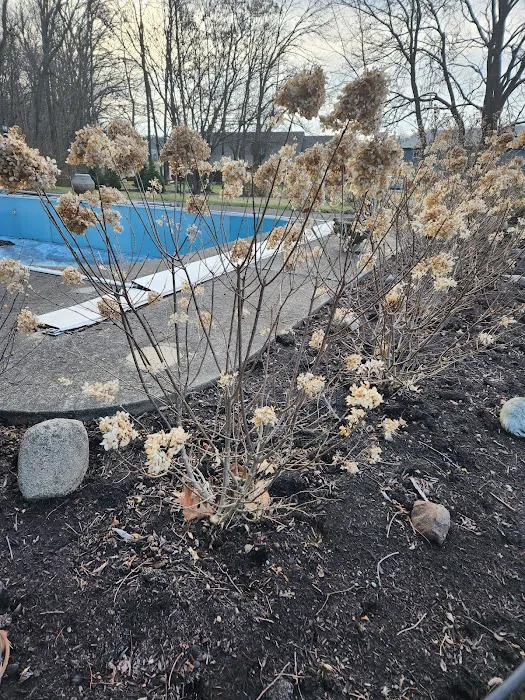 Hoffman's Nursery & Landscaping Inc Picture 5