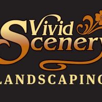 Vivid Scenery ico