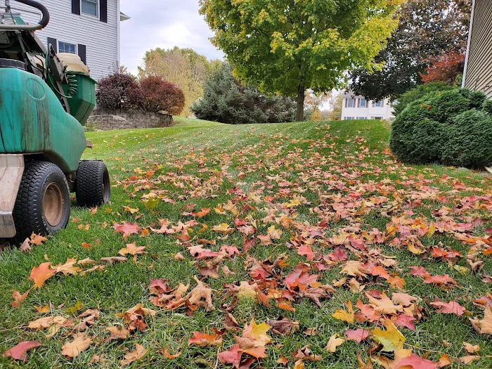 GreenWorks Lawn Solutions, LLC. Picture 2
