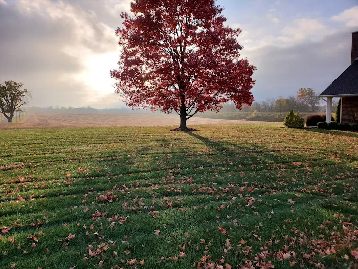 GreenWorks Lawn Solutions, LLC. Picture 3