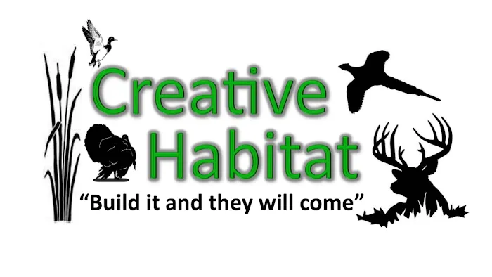 Creative Habitat LLC Picture 3