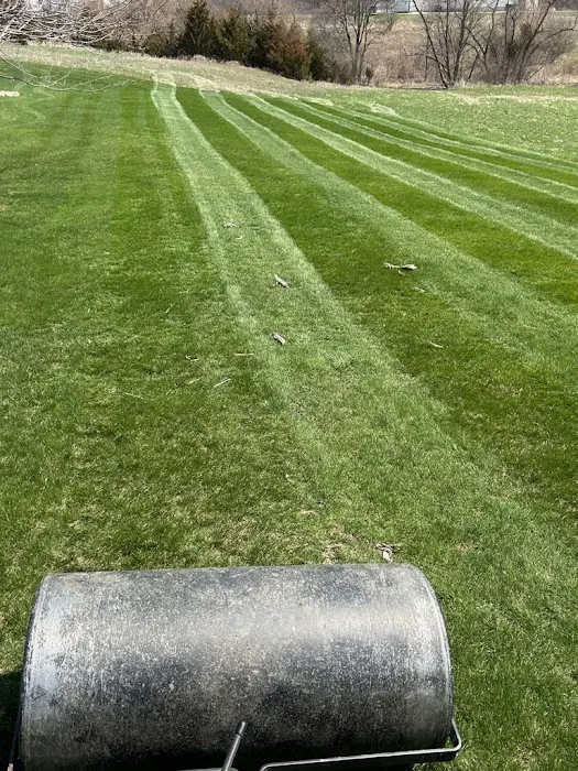 J & M Mowing Picture 5