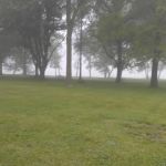 River Valley Lawn Care