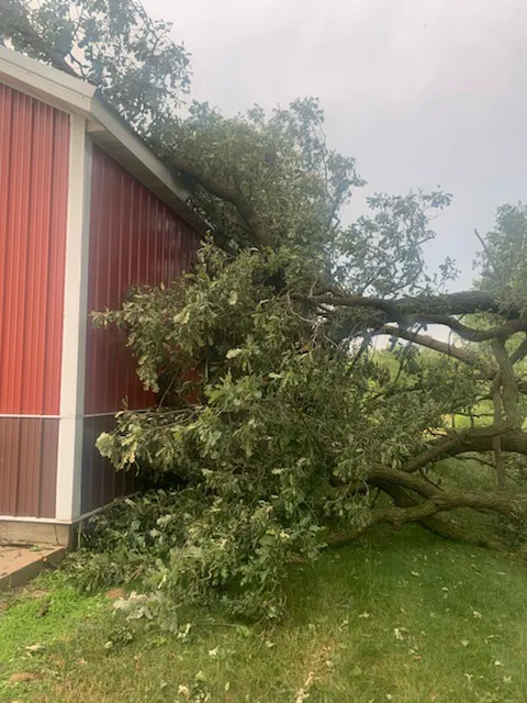 Grover Tree Company Picture 1