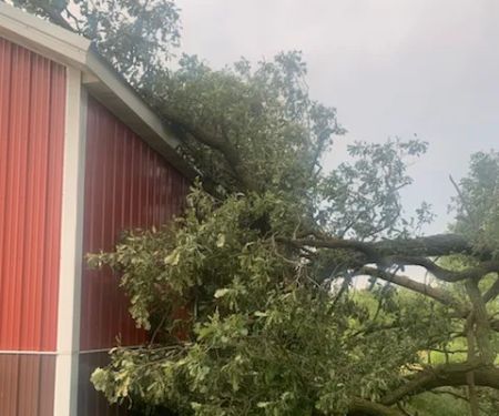 Grover Tree Company