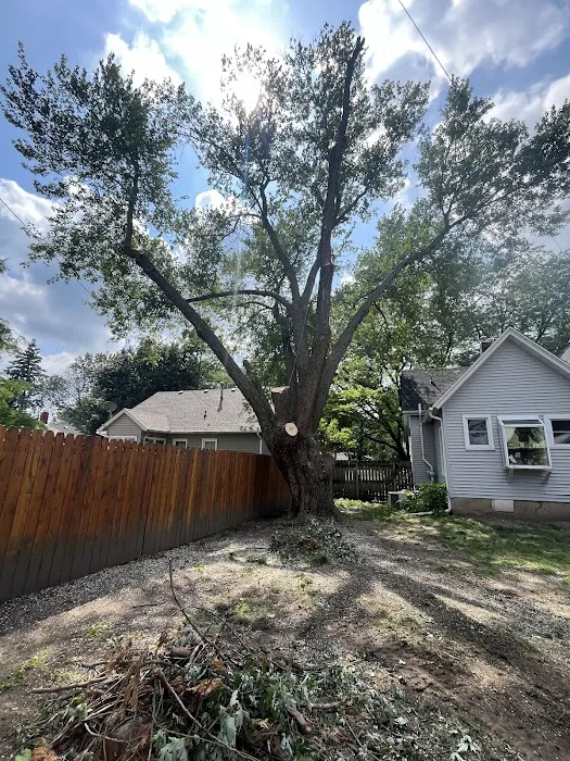 Grover Tree Company Picture 4