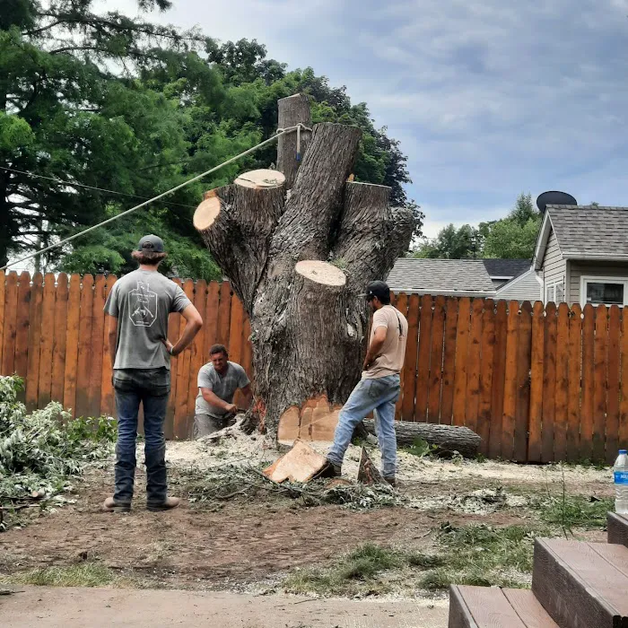 Grover Tree Company Picture 8