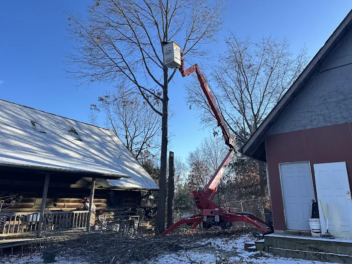 Grover Tree Company Picture 5