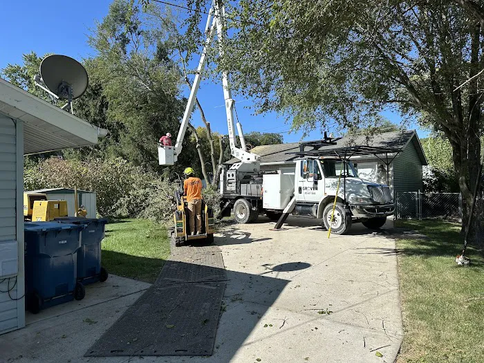 Grover Tree Company Picture 6