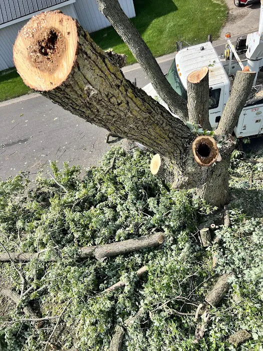 Kieffers Trees Picture 5