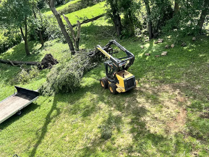 Kieffers Trees Picture 4