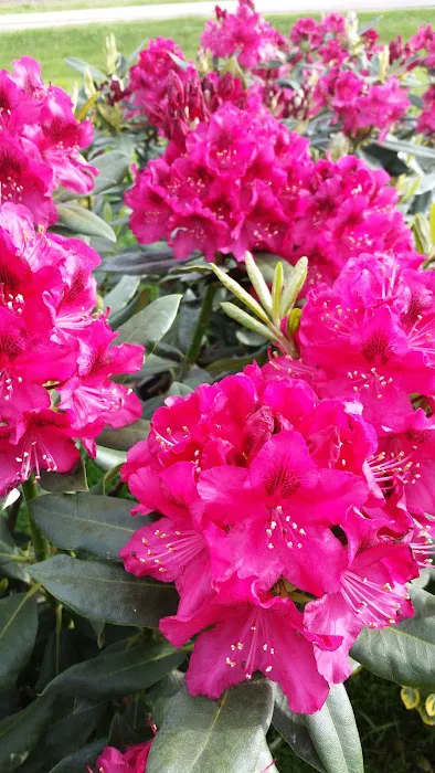 Spangler's Landscaping & Garden Center Picture 2