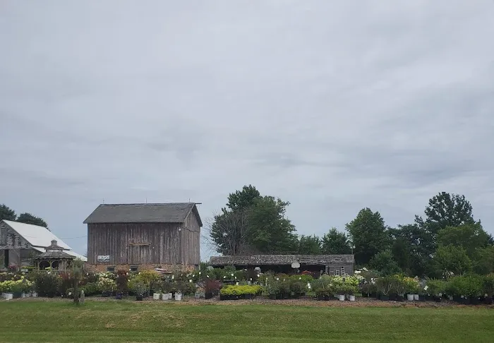 Spangler's Landscaping & Garden Center Picture 8