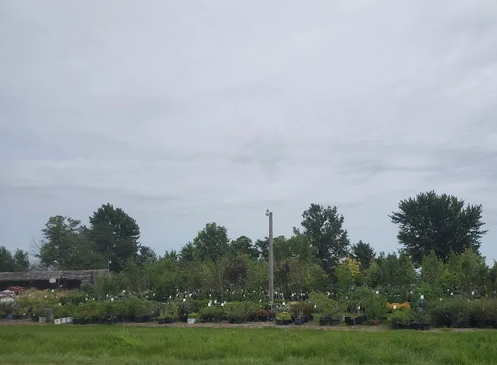 Spangler's Landscaping & Garden Center Picture 6