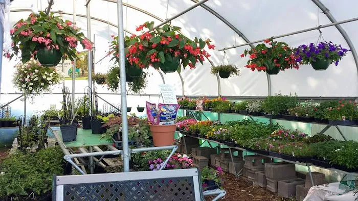 Spangler's Landscaping & Garden Center Picture 7