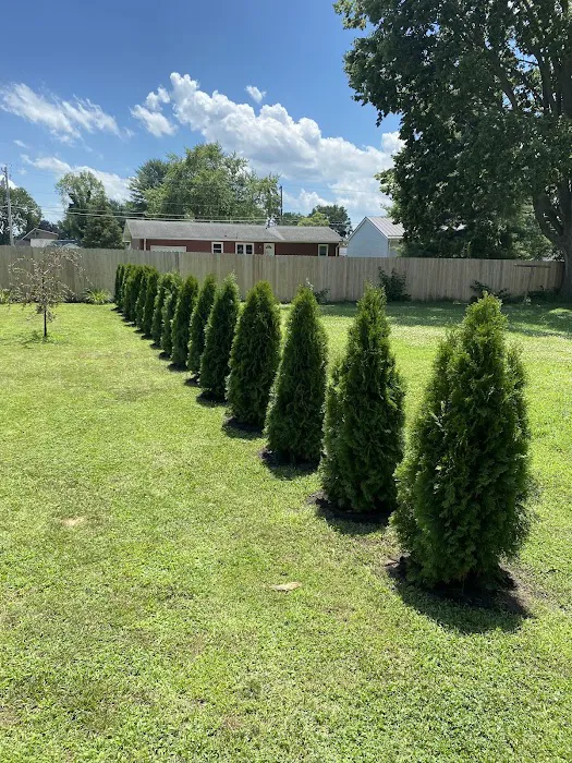 Spangler's Landscaping & Garden Center Picture 4