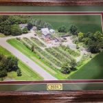 Spangler's Landscaping & Garden Center