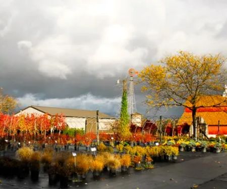 RKR & Associates - Landscape Nursery