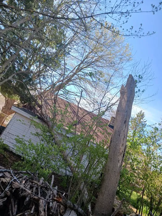 Andrews Lawncare Picture 4