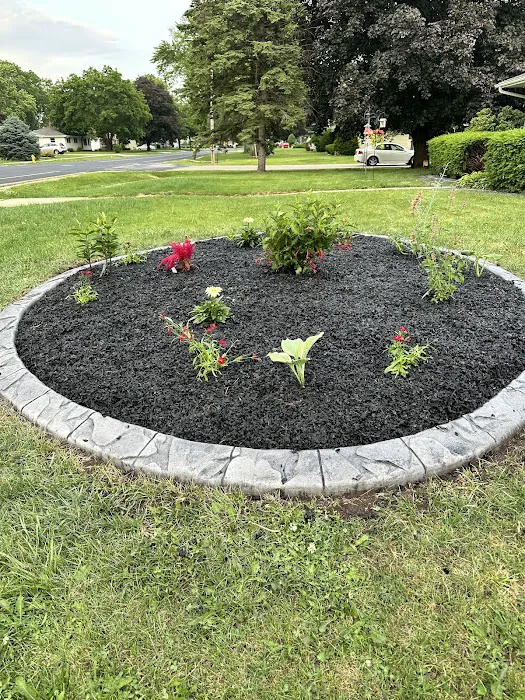 AE Landscape Borders Picture 1