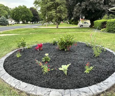 AE Landscape Borders