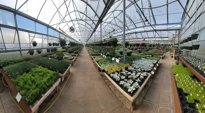 Sunnyfield Greenhouse & Garden Center Picture 8