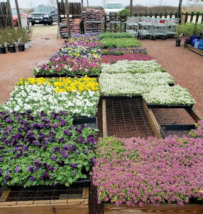 Sunnyfield Greenhouse & Garden Center Picture 10