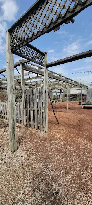 Sunnyfield Greenhouse & Garden Center Picture 3