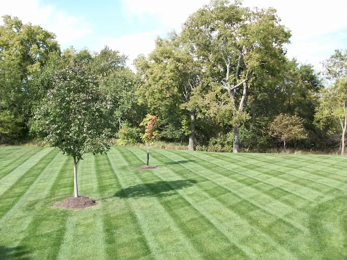 3N Lawn Care | Landscape | Snow Removal Picture 2