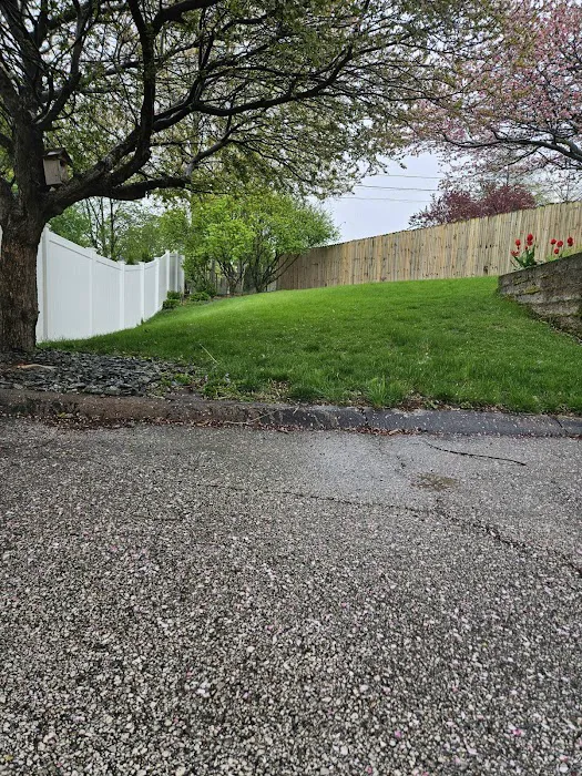3N Lawn Care | Landscape | Snow Removal Picture 4