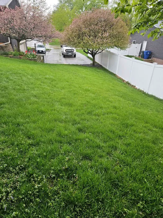 3N Lawn Care | Landscape | Snow Removal Picture 7