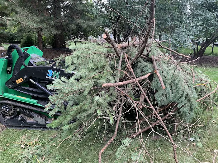 3N Lawn Care | Landscape | Snow Removal Picture 3