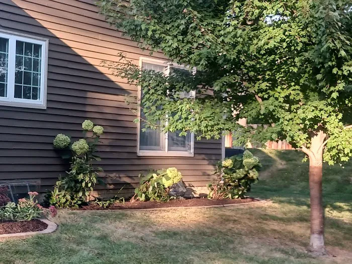 Curb Appeal - Landscaping and Lawn Care Service Picture 1