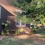 Curb Appeal - Landscaping and Lawn Care Service