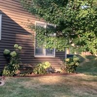 Curb Appeal - Landscaping and Lawn Care Service ico