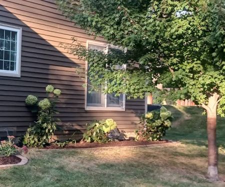 Curb Appeal - Landscaping and Lawn Care Service