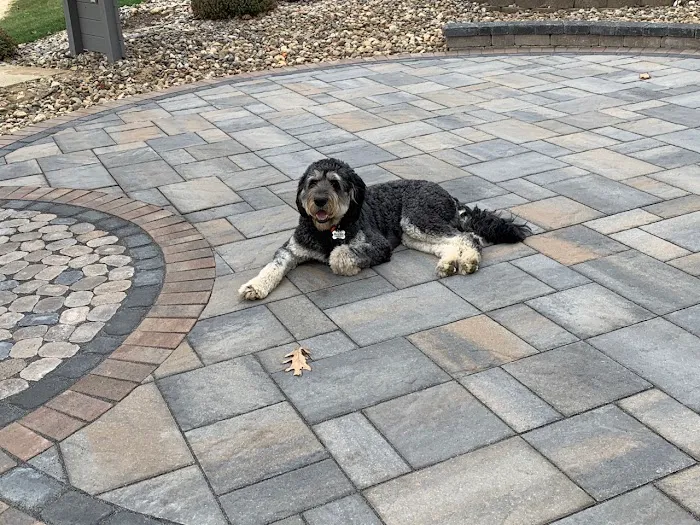 Curb Appeal - Landscaping and Lawn Care Service Picture 5