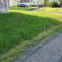 Corey's Lawn Care ico