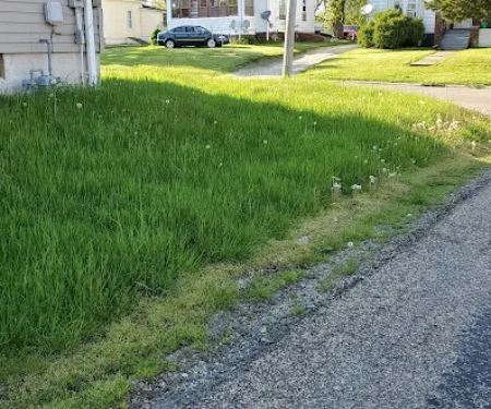 Corey's Lawn Care