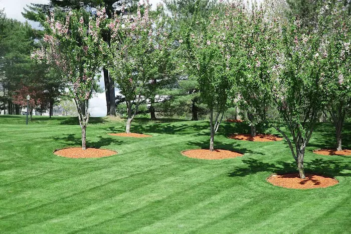 Reinhart Landscaping & Snow Picture 3