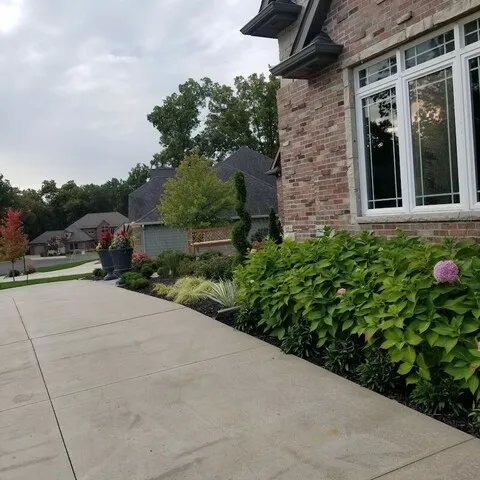Suburban Landscaping Picture 1