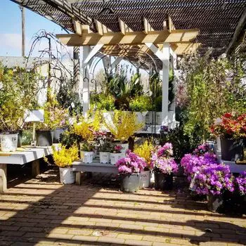 Hoerr Nursery Picture 5