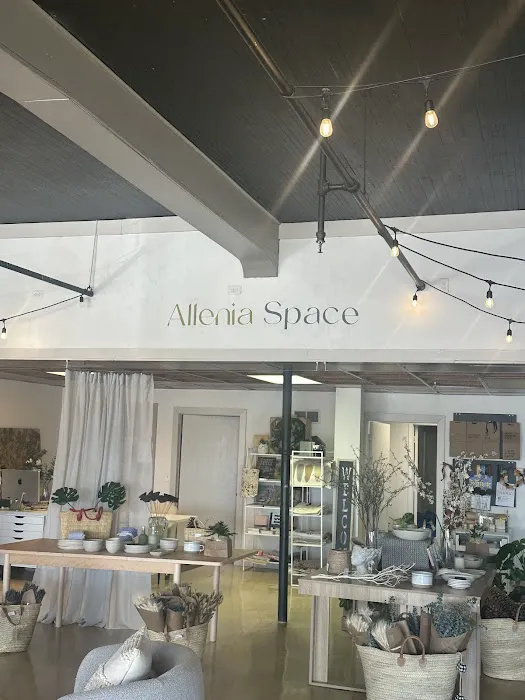 Allenia Space Picture 6