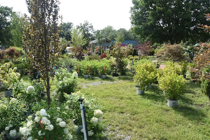 Meyer Landscape & Design and Garden Center Picture 6